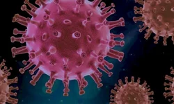 Veículos de carga que ingressam no país passam por sanitização