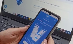 Município chega a 30 casos de dengue