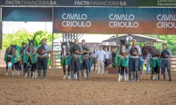 Criadores têm até dia 23 para se inscrever na Expo FICCC 2026