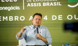 Recurso da Netflix mostra obras antes de serem disponibilizadas