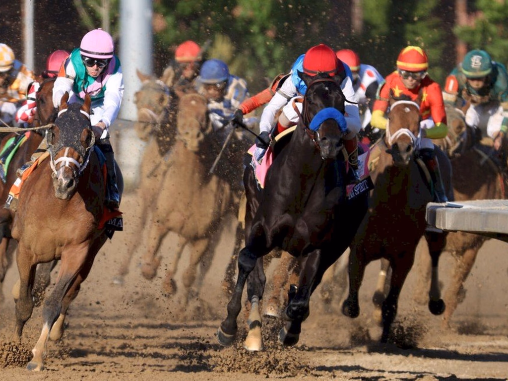 Vencedor da principal prova de corridas de cavalos é pego no doping