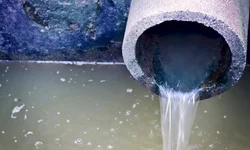 Articulação de Lins fracassa e partido sangra