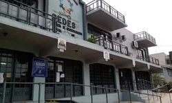 Município chega a 30 casos de dengue