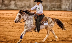Top Farmers 2018 será em dezembro