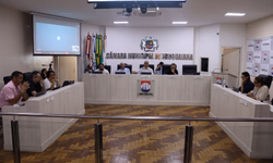 Vereadora pede reativação de frentes parlamentares