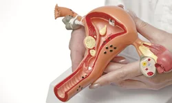 Receita Federal doa dois veículos à Unipampa