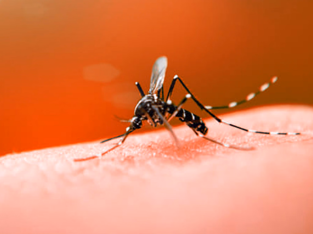 Uruguaiana receberá R$ 14,3 mil extras para enfrentamento a dengue