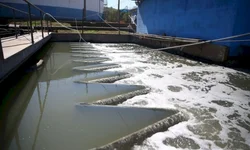 Seminário virtual aborda importância da Radiologia na Covid-1