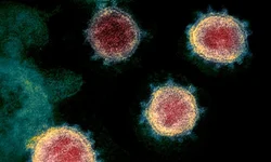 Uruguaiana tem 796 casos ativos