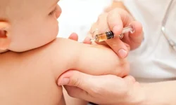 Uruguaiana tem 61 casos ativos