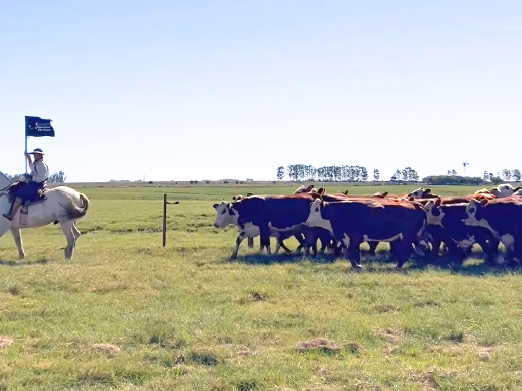 Fazenda Espinilho recebe abertura da Gira Técnica