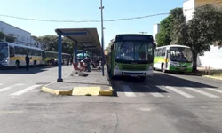 Draco prende dois homens por tráfico de drogas