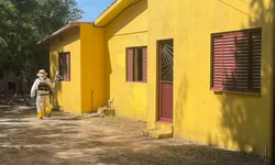 Portaria regulamenta participação de crianças e adolescentes no Carnaval