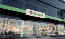 Fepam lança cartilha com orientações sobre denúncias ambientais