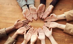 Universidades federais repudiam ataques misóginos contra Marina Silva