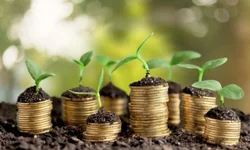 OAB realizará a webinar ‘Literatura, Racismo e Reparação da Escravidão’