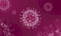 Uruguaiana tem 576 casos ativos