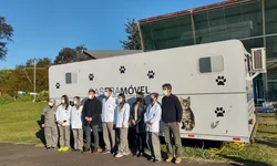 Uruguaiana tem 576 casos ativos