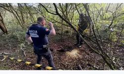 Nova lei amplia proteção a pessoas com deficiência em crimes de estelionato