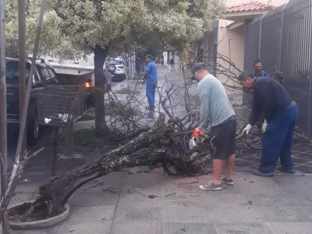 Defesa Civil registra mais de 100mm de chuva