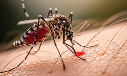 II Seminário de Saúde Mental reúne comunidade e profissionais