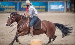 Parque Assis Brasil inicia venda de ingressos