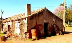 Homem é morto com pelo menos quatro tiros na cabeça