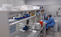 Pesquisadores da UFMG testam moléculas para vacina da Covid-19