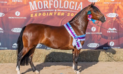 Começa Expo FICCC 2023, em Buenos Aires