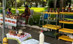 Veículos escolares precisam atualizar documentação a partir de segunda-feira