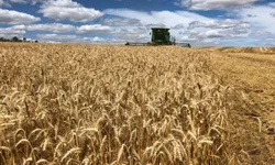 Ministra dá posse aos novos secretários do Mapa