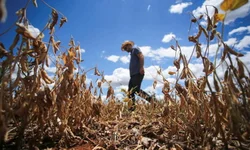 Sessão Solene marcará o Dia Internacional da Mulher