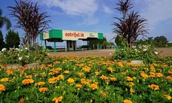 Uruguaiana sediará Classificatória ao Freio de Ouro 2023 em junho