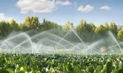 Evento destaca a importância do esporte para jovens com deficiência