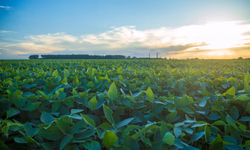 Começa Expo FICCC 2023, em Buenos Aires