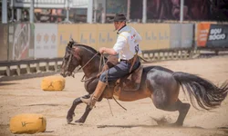Parque Assis Brasil inicia venda de ingressos