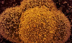 Marcha da Resistência agora é manifestação cultural nacional