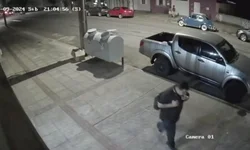 Idoso morre após ataque de cães