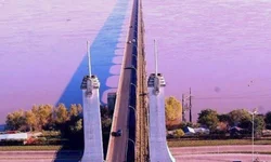 OMS utilizará letras gregas para nomear as variantes do coronavírus