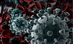 Prazo para licenciamento de veículos encerra na quinta-feira