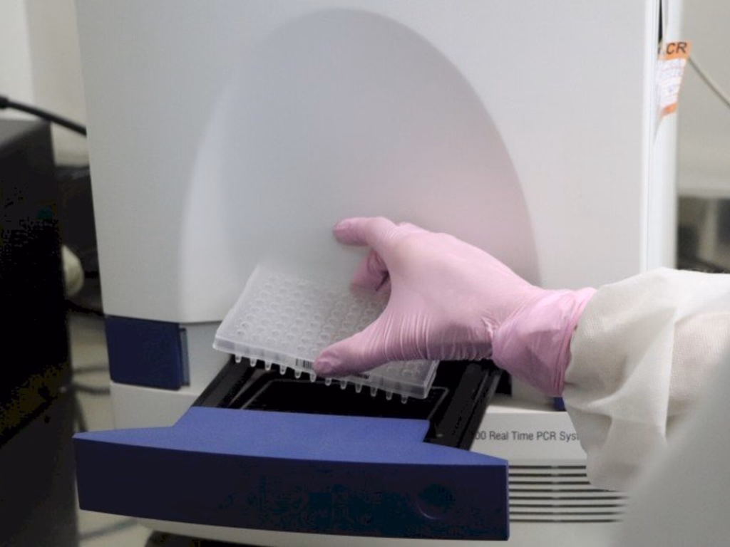 RS confirma primeiro caso de Flurona