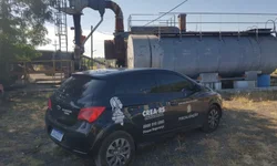 Avião retorna ao aeroporto após colisão com pássaro