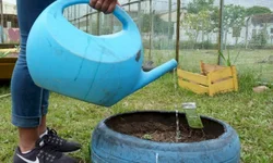 Cerca de 3,5 mil alunos da 10ª CRE foram contemplados com alimentos