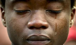 Brigada apreende dez capivaras em carro abandonado