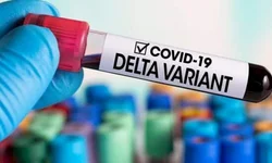 Chegada de variante no Estado é tema de reunião