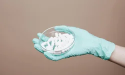 Governo discute conexão ferroviária entre Uruguaiana e Porto Alegre