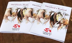 ABHB lança Sumário de Avaliação Genética PampaPlus 2020