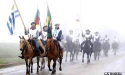 Prorrogado teste de desempenho Hereford e Braford no CP CRV Lagoa