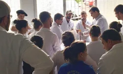 Ministra dá posse aos novos secretários do Mapa