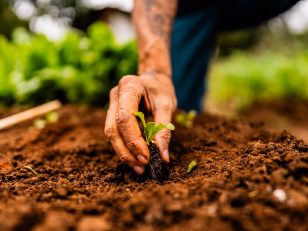 Senar promove evento para aumentar produtividade e sustentabilidade rural
